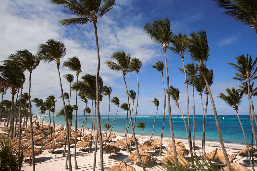 Royal Service At Paradisus Palma Real (Adults Only) Punta Cana Nature photo